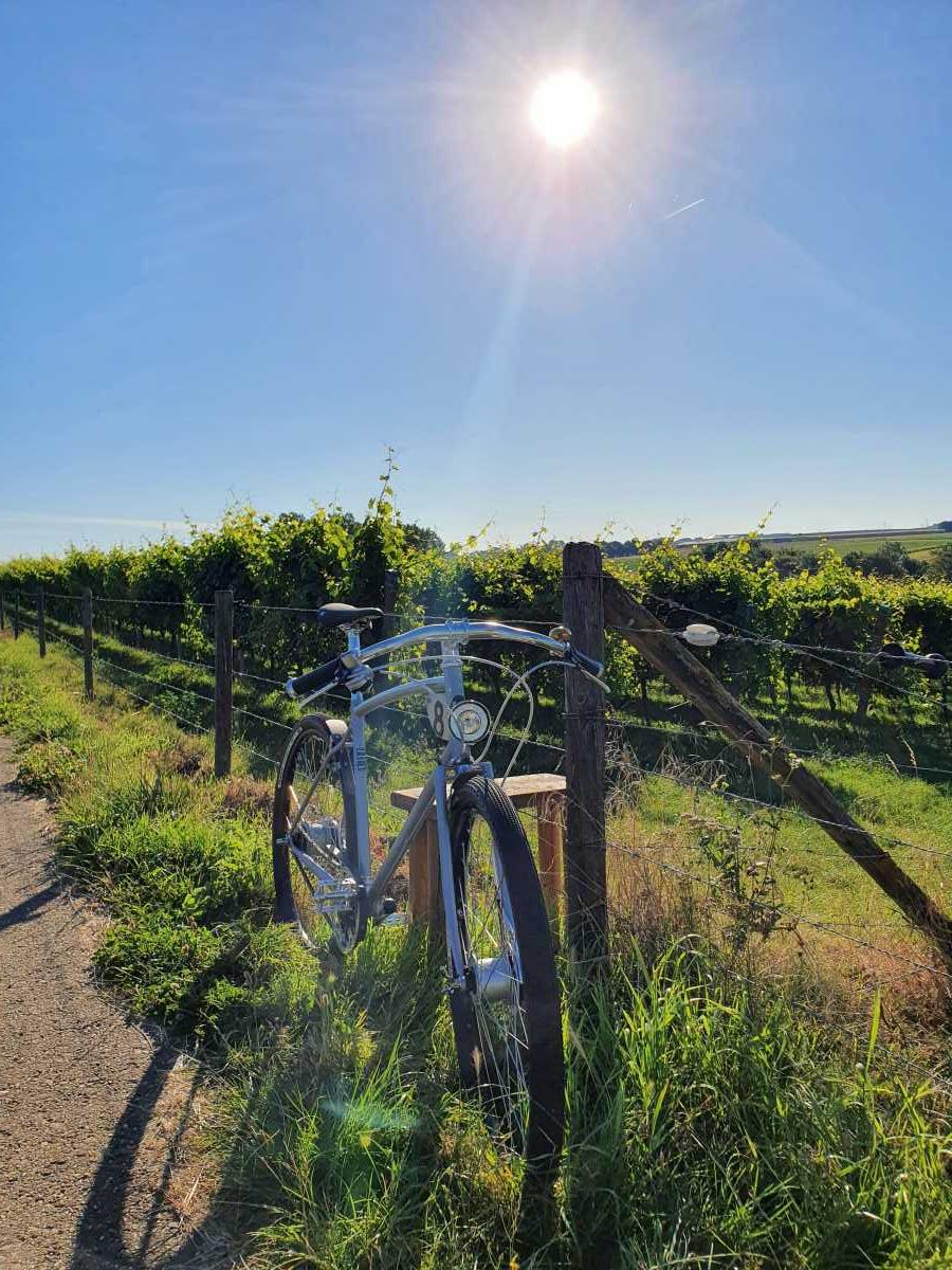 Pashley Morgan 8