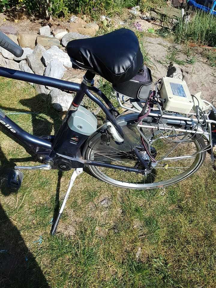 Gazelle easy glider e-bike fiets