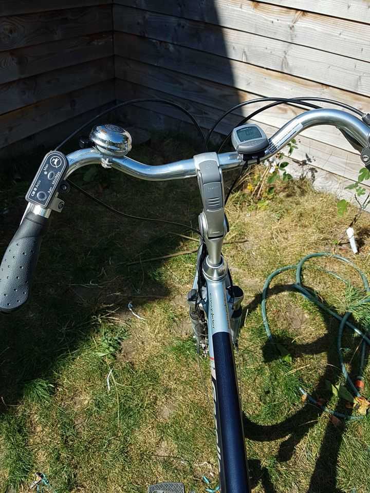 Gazelle easy glider e-bike fiets