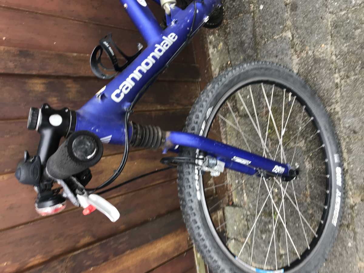 Cannondale V1000