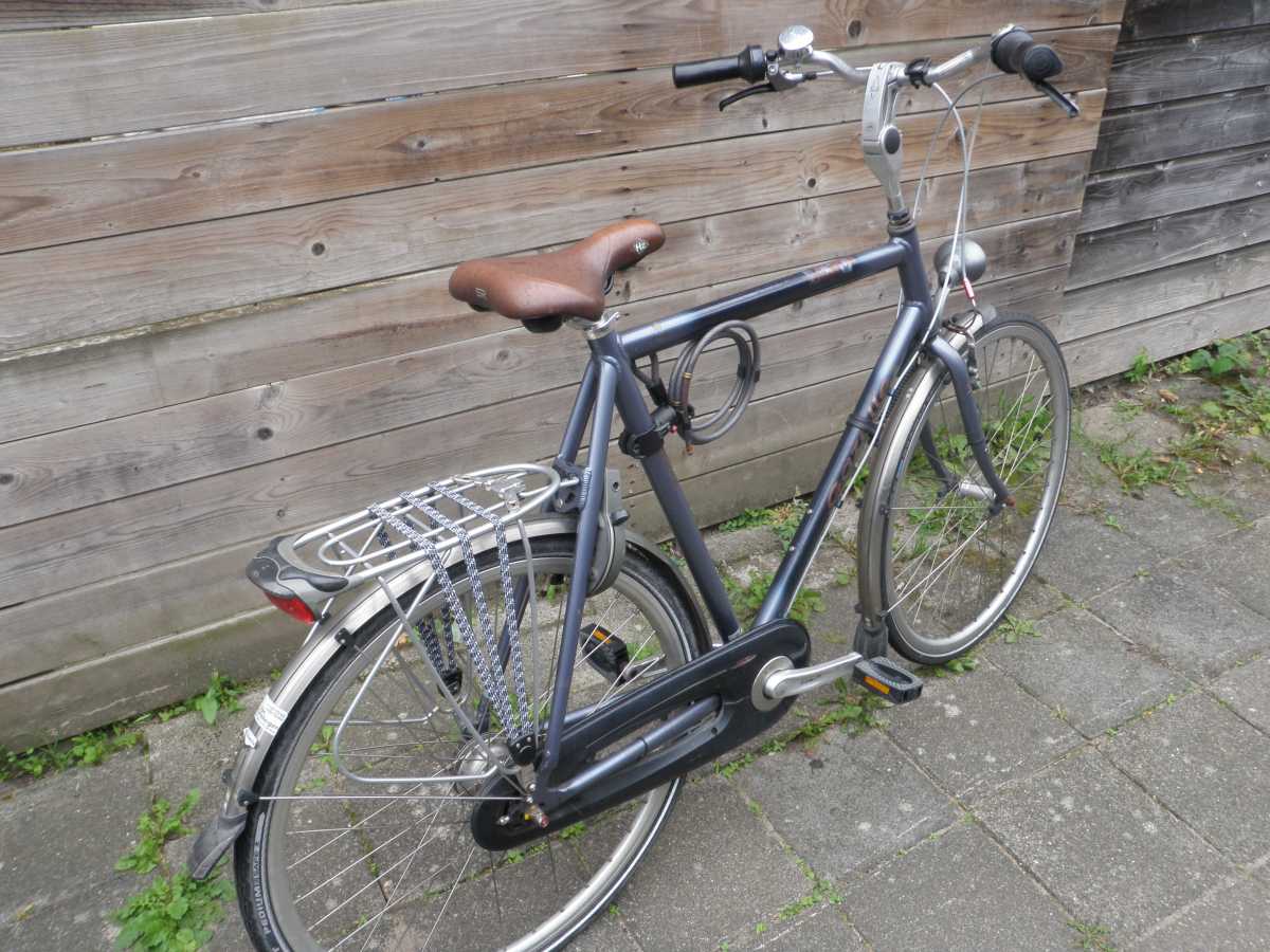 Gazelle Orange donker/licht blauw  voor de grote jongen/man