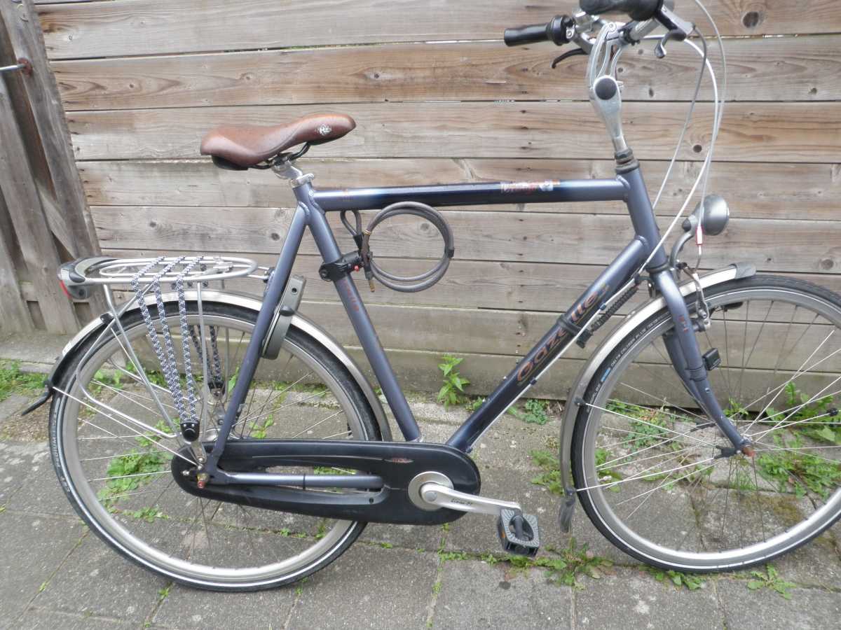 Gazelle Orange donker/licht blauw  voor de grote jongen/man