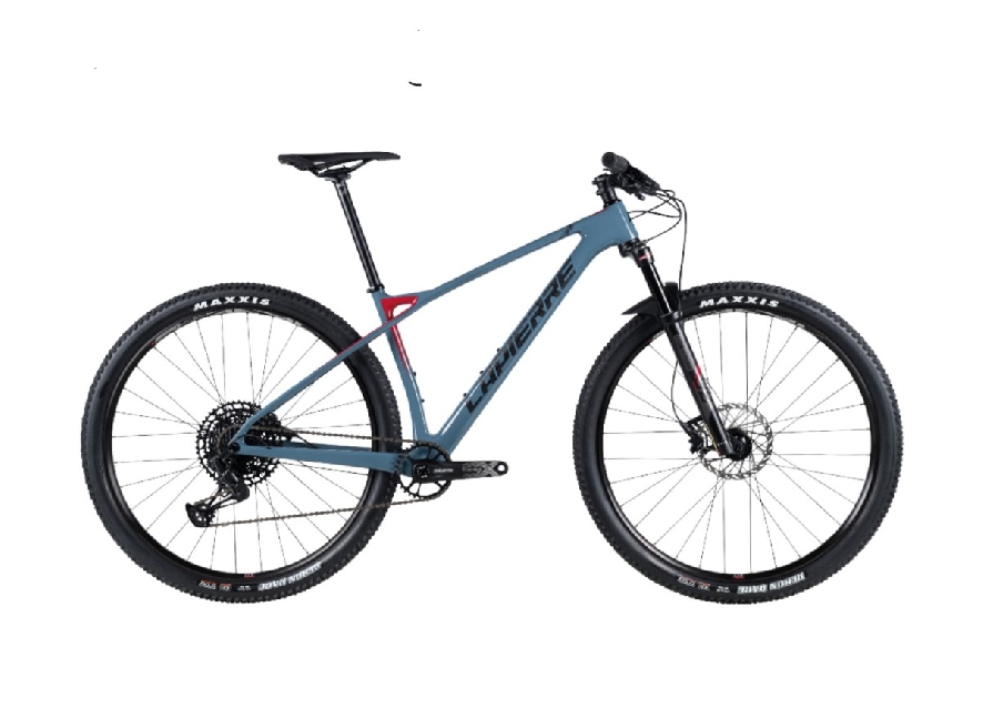 Lapierre Prorace CF 5.9, Grijs