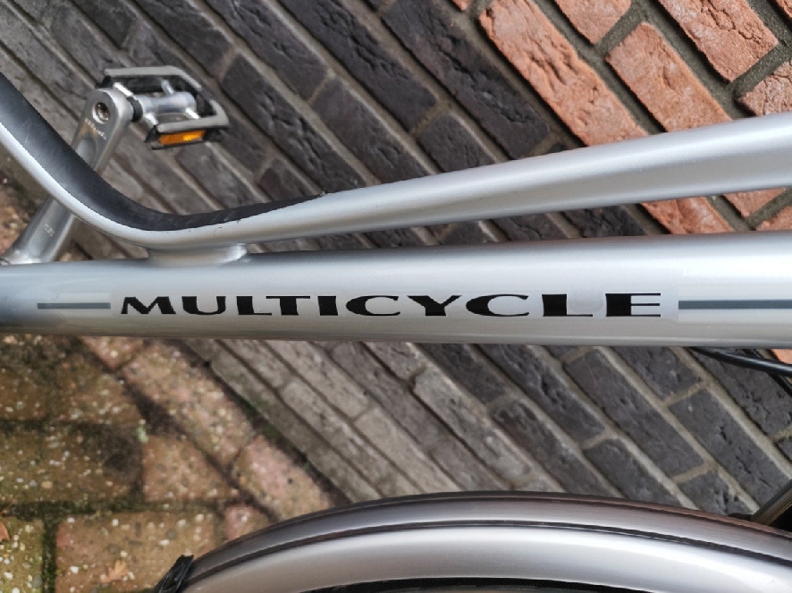 Multicycle Tour-e Basic, Silver Metallic