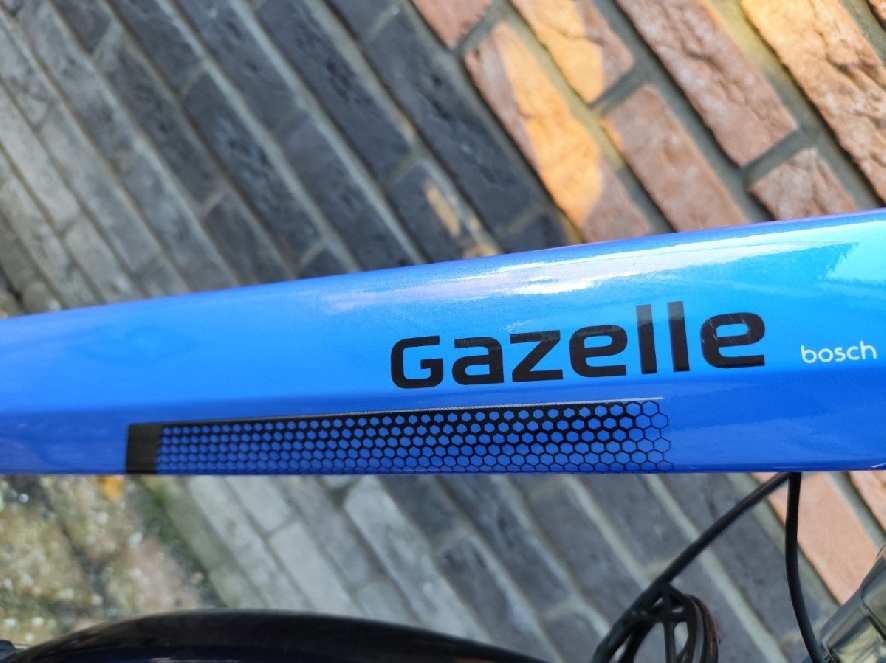 Gazelle Orange C7 HMB, Trop blue