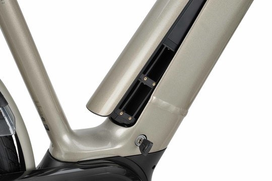 BATAVUS Finez E-Go Power N8, Champagne Goud