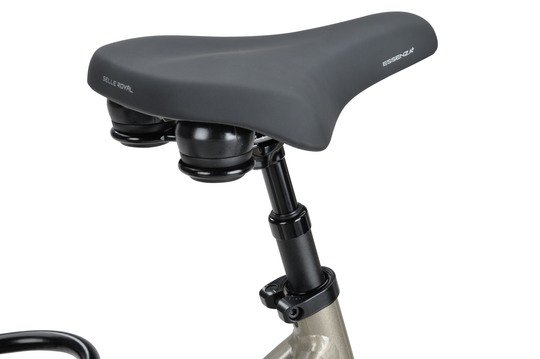 BATAVUS Finez E-Go Power Exclusiv, Champagne Goud Glans