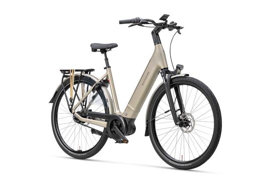 BATAVUS Finez E-Go Power Exclusiv, Champagne Goud Glans