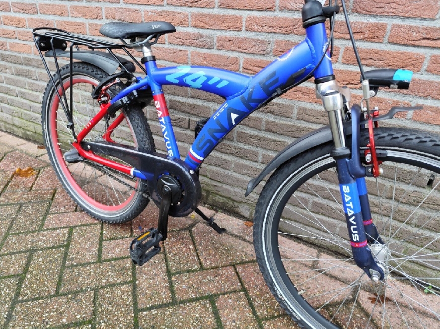 Batavus Snake 24 inch, Blauw