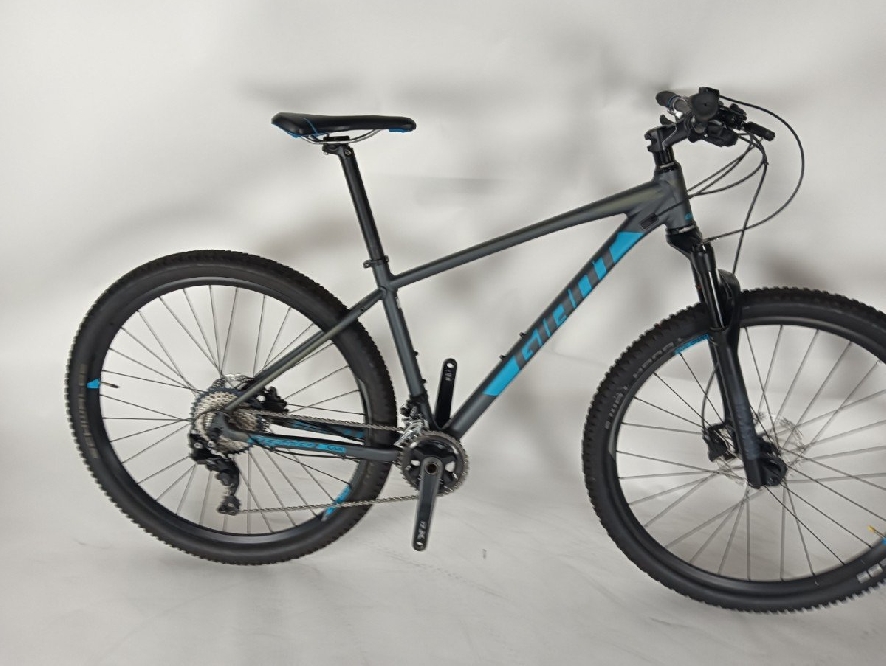 Giant TERRAGO 0 DISC L, blauw